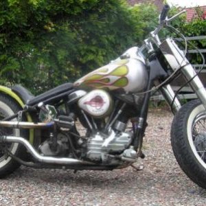 Panhead 3