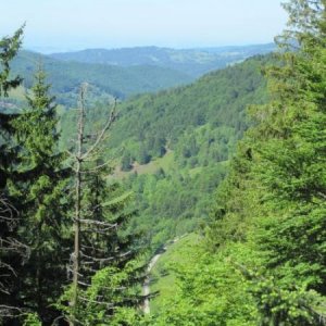 Herrlicher Ausblick II