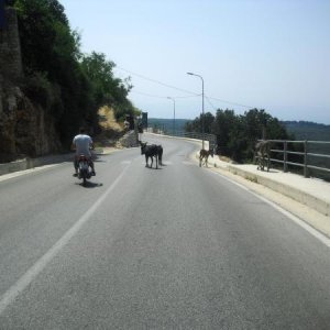 Albanien .... normaaaal