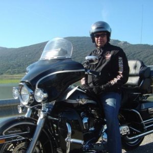 Harley Andalusien 2008