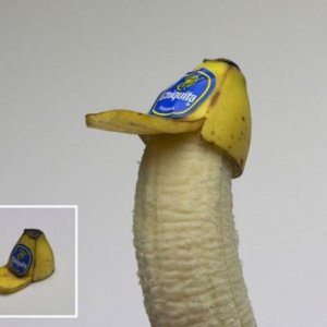 Chiquita-Kappe