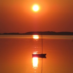 IMG 2221 (600x800) (300x400)