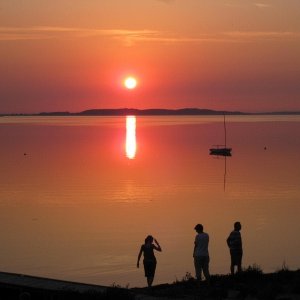 IMG 2222 (800x600) (400x300)