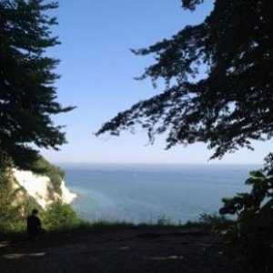 008 (3) (600x800) (314x350) (292x325)