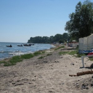 IMG 2270 (800x600) (300x225)