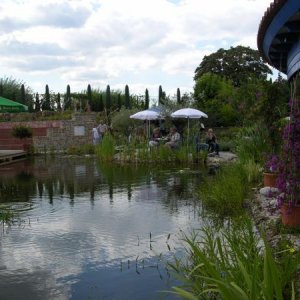 DSCN6084
