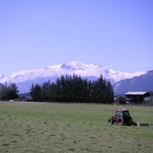 PICT2924