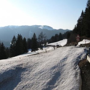 IMG 0432