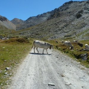 Col de Sommeiller