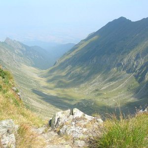 Fagaras Gerbige