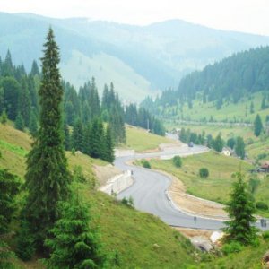 mestecanis pass 3