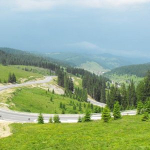 mestecanis pass 4