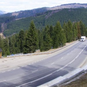 mestecanis  pass9