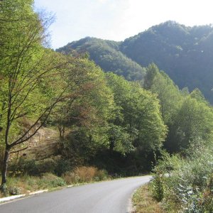 transalpina 030