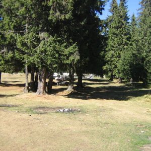 transalpina 057