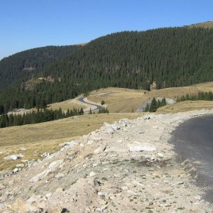 transalpina 081