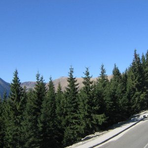 transalpina 130