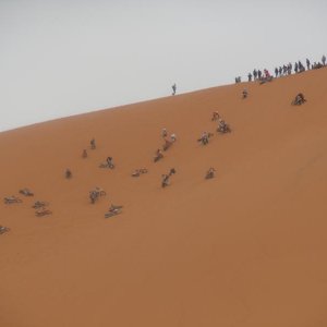 DSCN0479