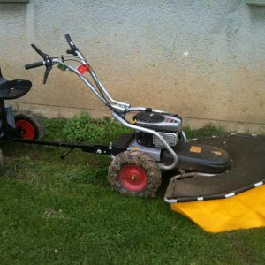 IMG 0216