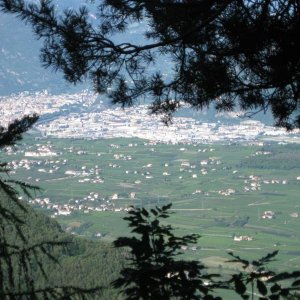 IMG 0443