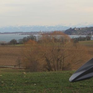 Blick von der "Höri" auf den Bodensee