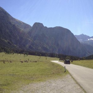 IMG 0429