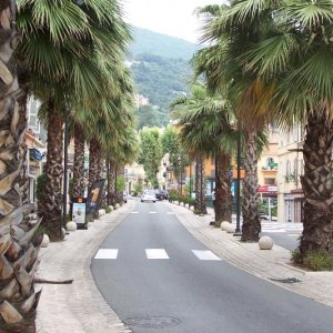 Grasse