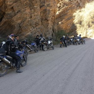 FOD 1 (42)