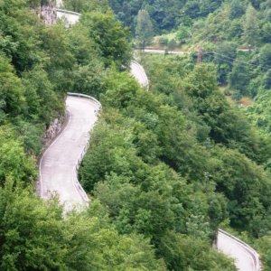 Beschreibung