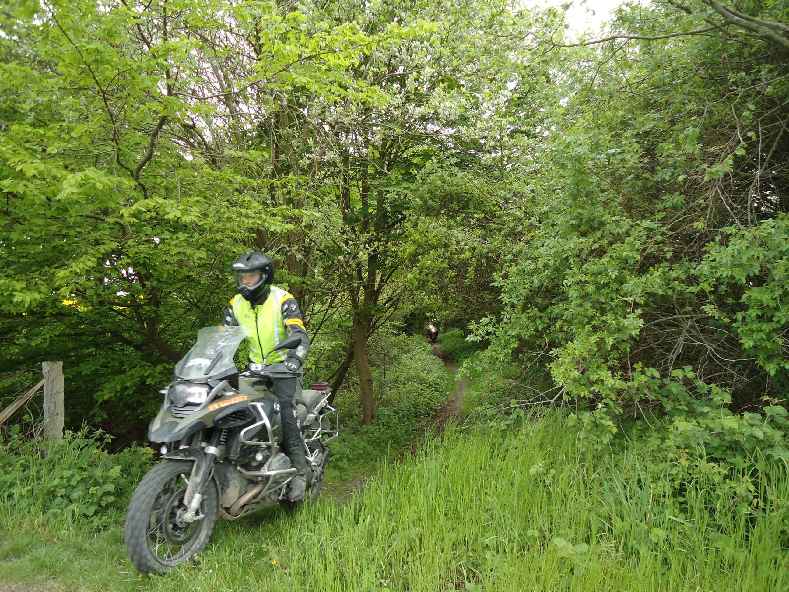 14106156394 80273f8c7a o