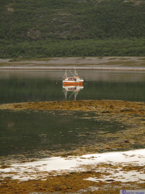 2002