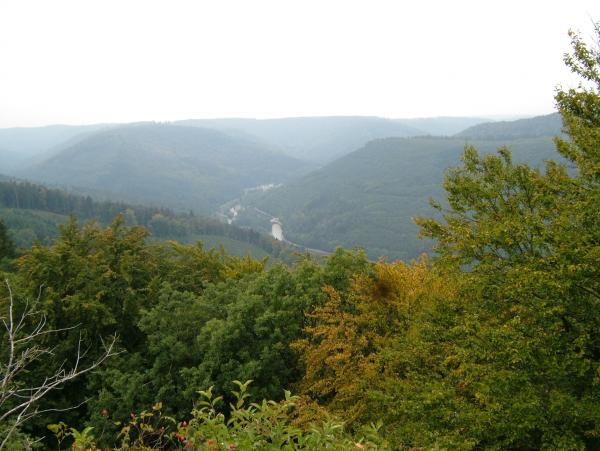 2006 0921Bild0015