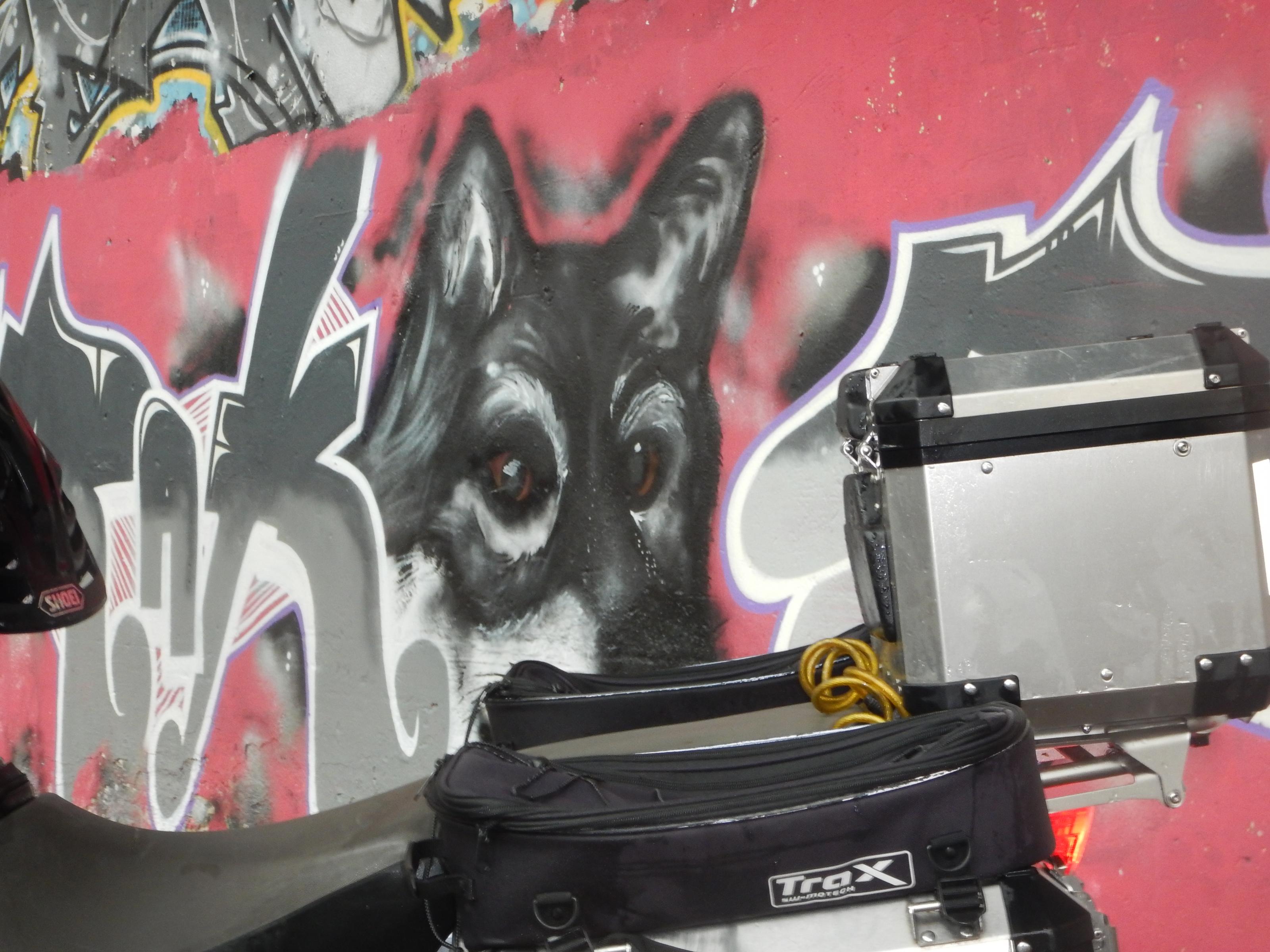 2015 07 19 shooting (7)