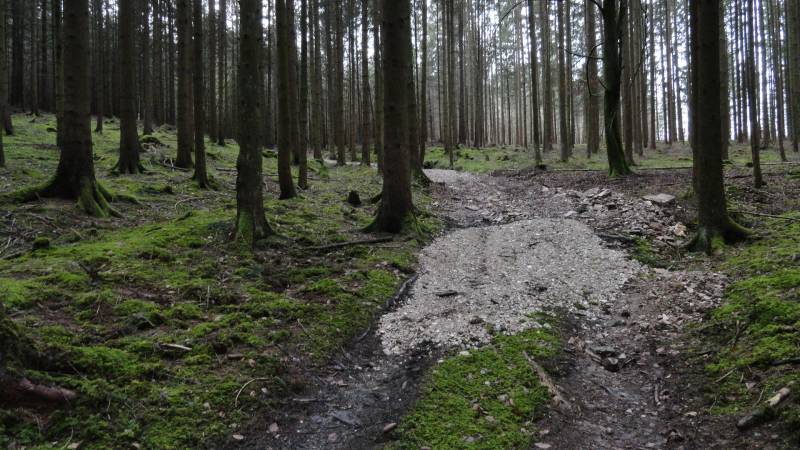 27.12.2011 weichnachtsenduro