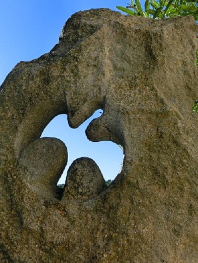31