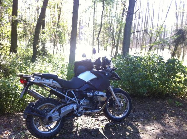 4.Ab in den Wald.