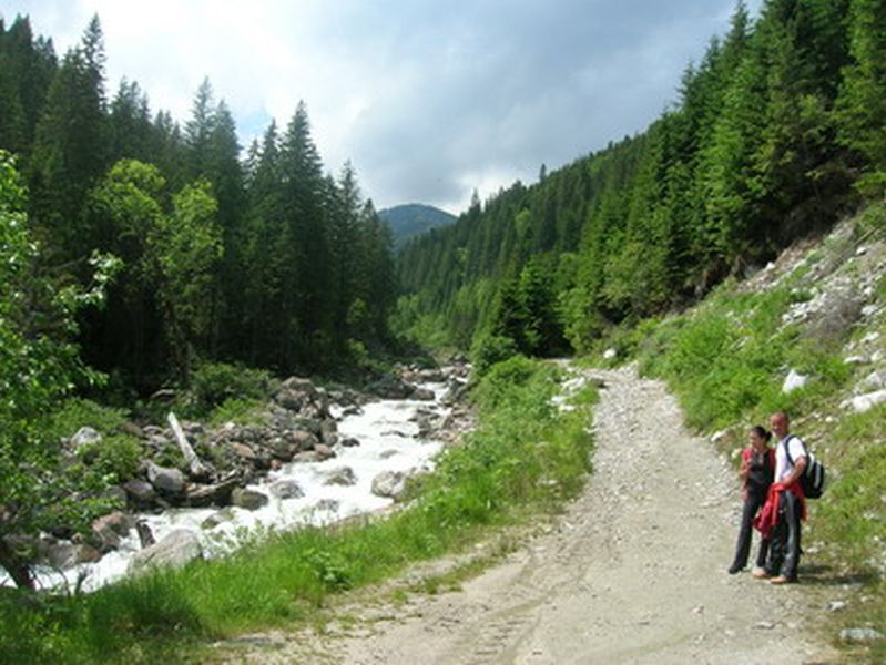 Apuseni