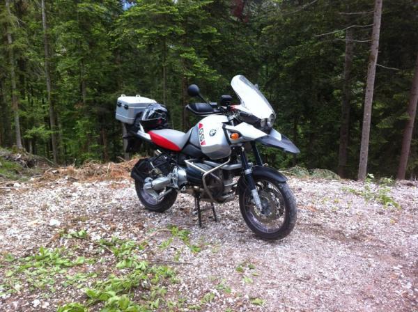 Art gerechte Haltung