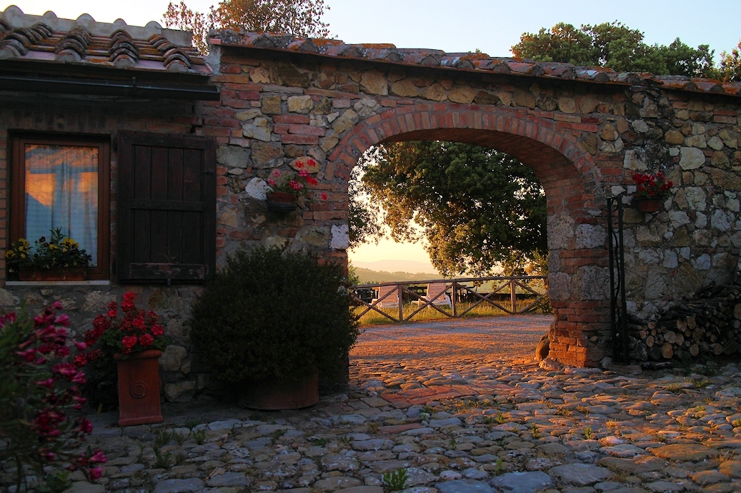 B 1000 IMG 8578