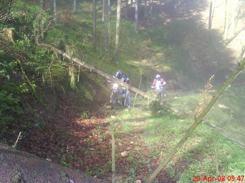 baum im weg