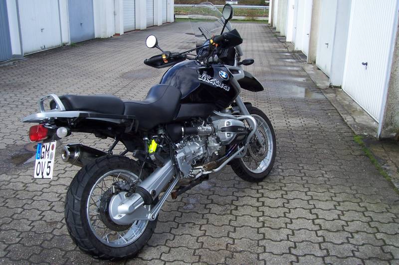 Bergziege