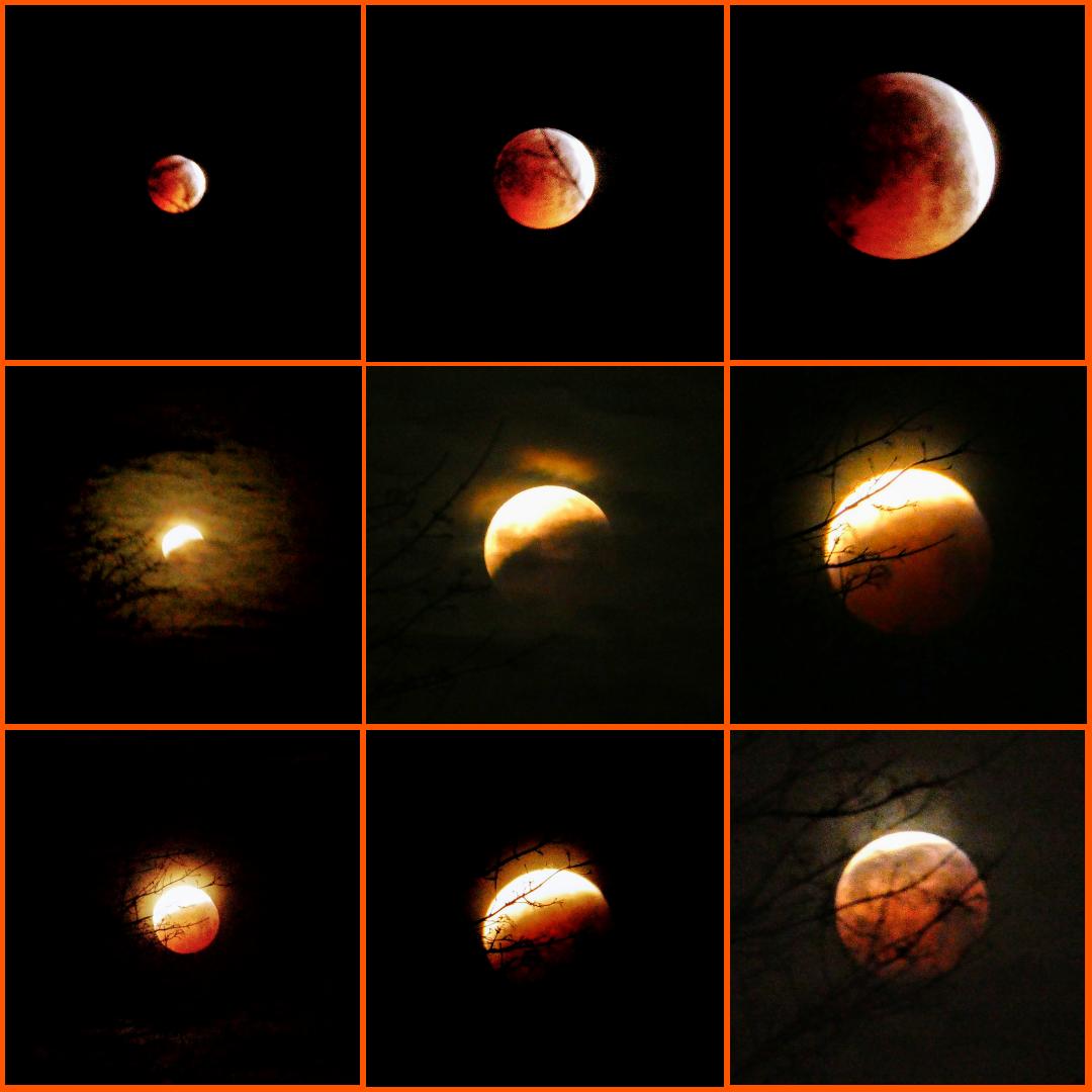 Blutmond