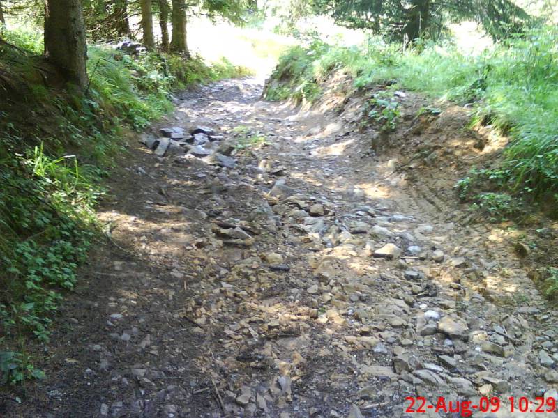 DSC00611