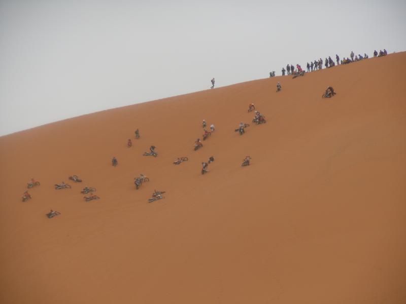 DSCN0479