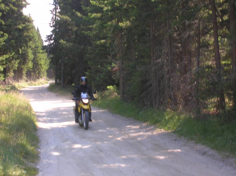 DSCN3444