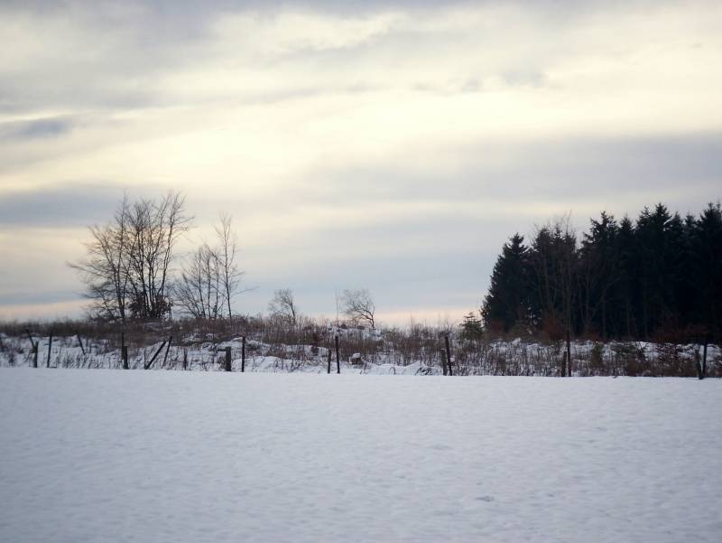 Eifel im Winter