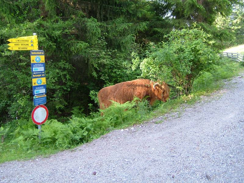 Eine Q auf Abwegen....