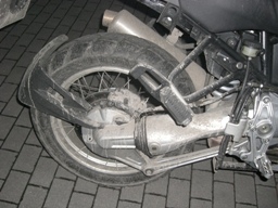 eingesaut 2