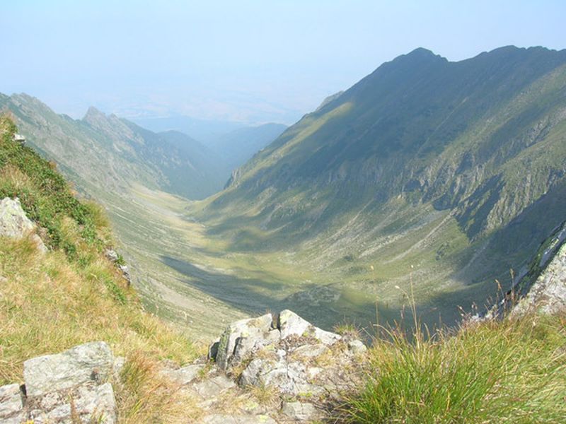 Fagaras Gerbige
