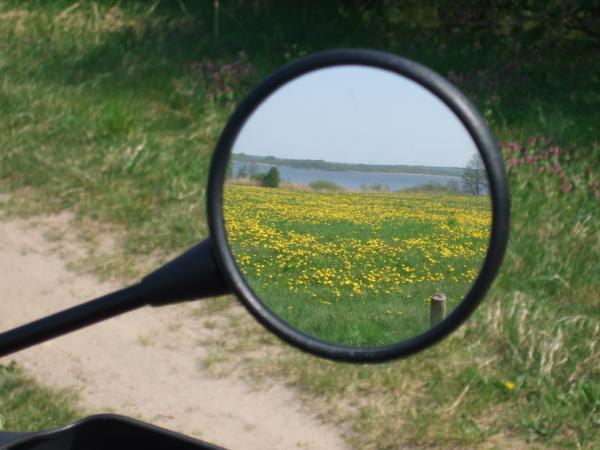 Feldweg am See